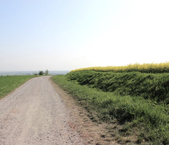 B&ouml;rdelanschaft in Nideggen-Rath, &copy; Rureifel-Tourimus e.V.