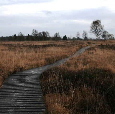 Herbst Morgen, © Monschau Touristik GmbH - Heike Becker