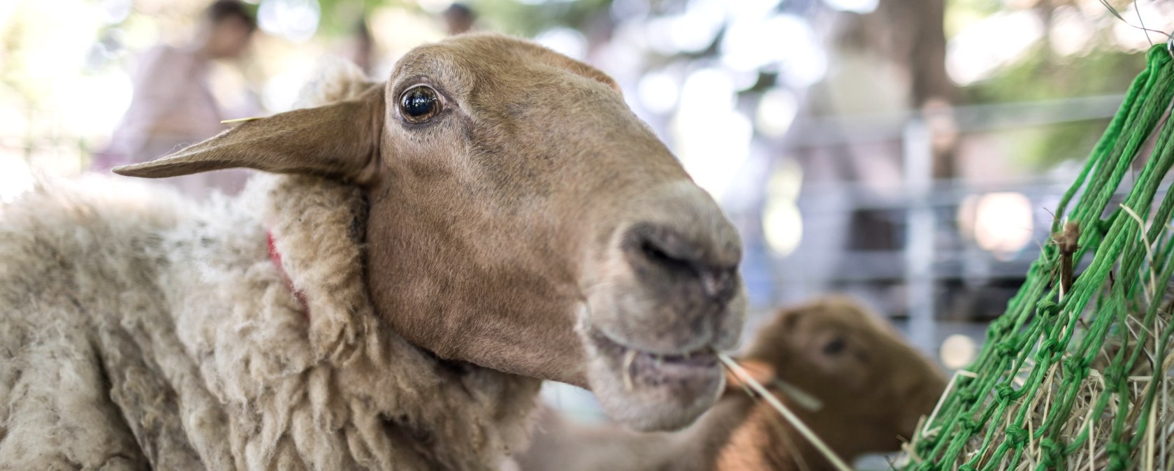 Wollmarkt an der Tuchfabrik, &copy; &copy; LVR-Zentrum f&uuml;r Medien und Bildung / Dominik Sch