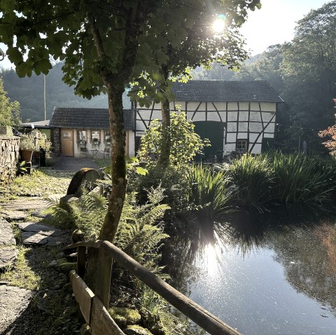 Mestrenger M&uuml;hle, &copy; Mestrenger M&uuml;hle