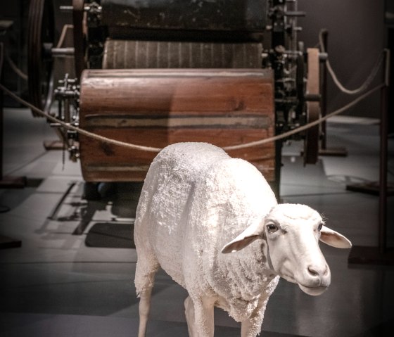 Von der Wolle, &copy; J&uuml;rgen Hoffmann