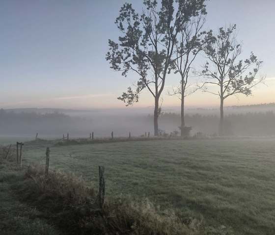 Nebel am Morgen in Kaltherberg