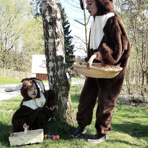 Osterhasen im Wildfreigehege, &copy; Wildfreigehege & Greivogelstation Hellenthal