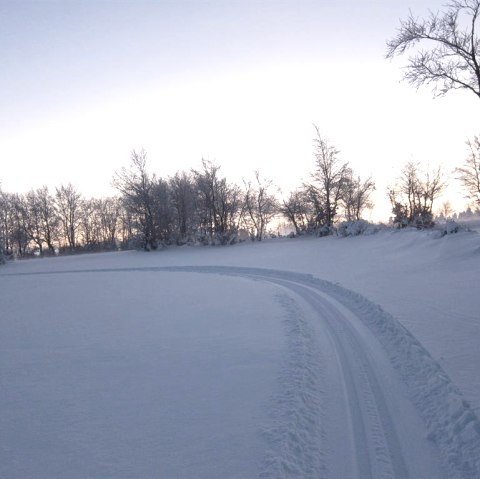 Gespurte Loipe, © Günter Scheidt