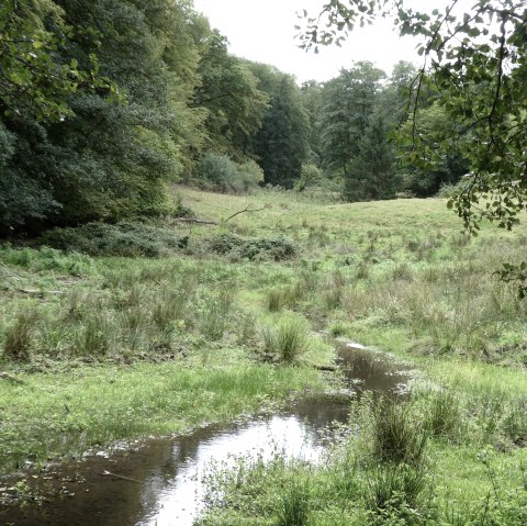 Kalltal, &copy; Eifel heimisch