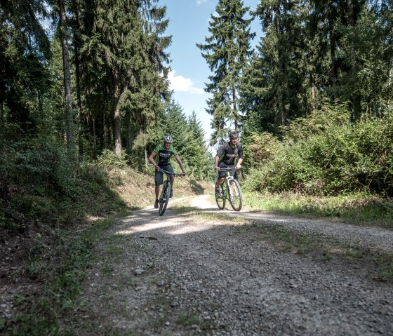 Radfahrer im Wald, &copy; Freifahrt Eifel - Kreis D&uuml;ren
