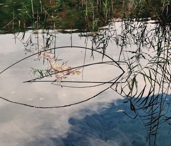 Ausstellung "Die 4 Elemente", &copy; Barbara Tegethoff