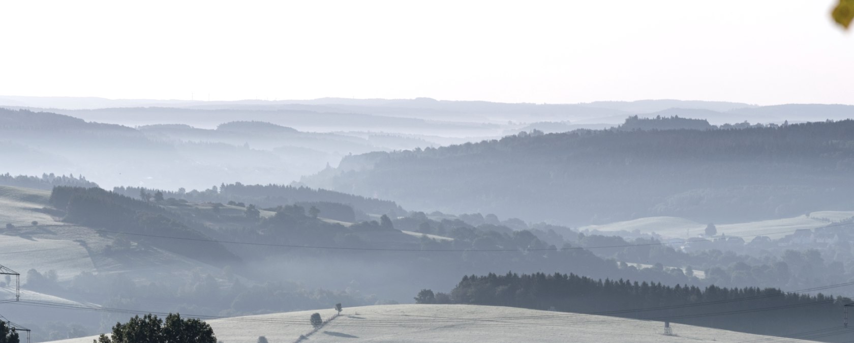 Gentle hills of the Eifel in the morning mist, with trees and meadows forming a tranquil landscape., &copy; Nordeifel Tourismus GmbH