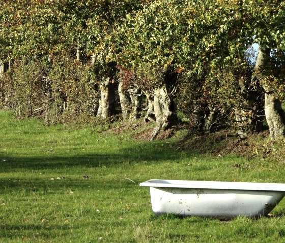 Viehtr&auml;nke bei Dreiborn, &copy; Edgar Hoss & Nordeifel Tourismus GmbH
