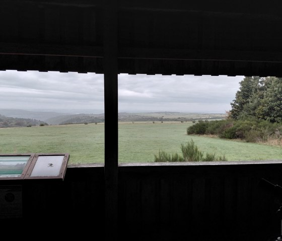 Nationalpark Eifel- Rotwidlempore