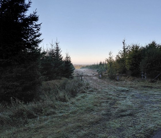 Das Hohe Venn- in der N&auml;he des Hotel gelegen