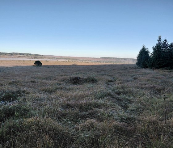 Das Hohe Venn- in der N&auml;he des Hotel gelegen