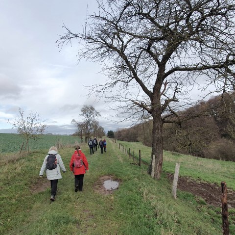 Eickser Busch, &copy; Der Weggef&auml;hrte - Michael Schulze Aktivtouren