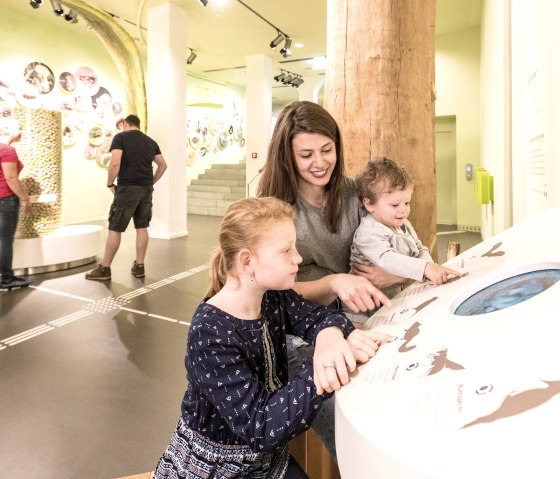 For young and old alike, there's so much to discover..., &copy; Dominik Ketz