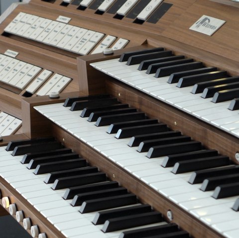 Organ tour, © Knut Becker
