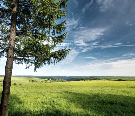Dreiborn Umgebung, &copy; Dominik Ketz & Nordeifel Tourismus GmbH