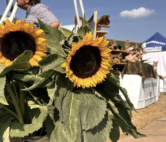 Sonnenblumen beim Herbstmarkt, © Seepark Zülpich
