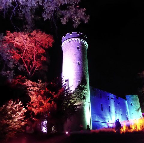 Leuchtende G&auml;rten 2, &copy; Seepark Z&uuml;lpich