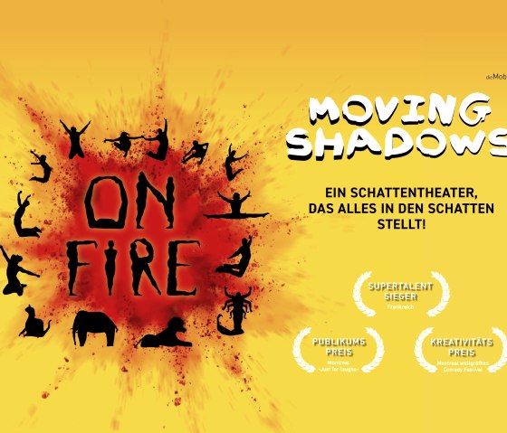 Moving Shadows, &copy; Moving Shadows