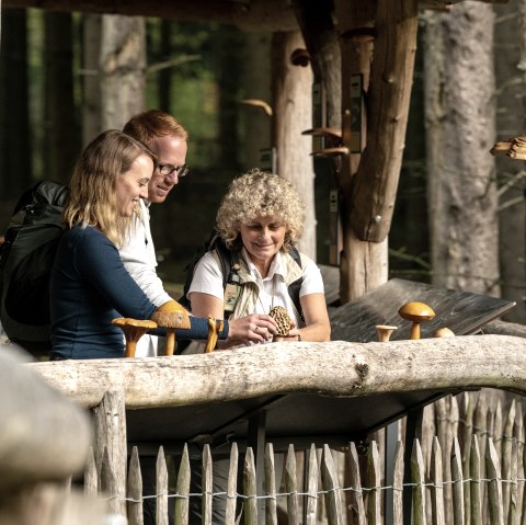 Wilder Weg, &copy; Ketz