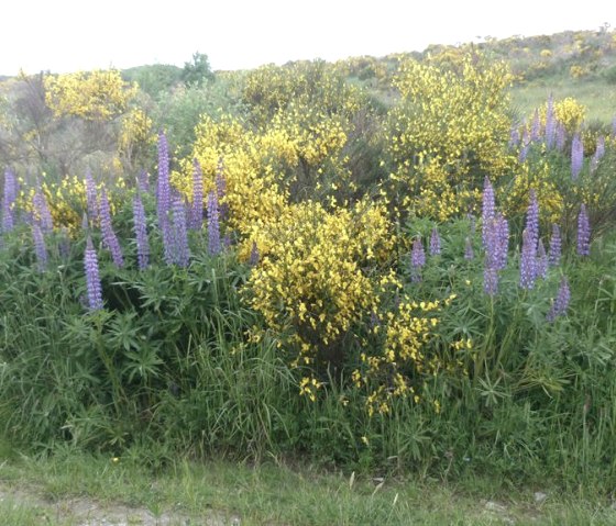 P1010648, &copy; Nordeifel Tourismus GmbH & Ferienwohnung Geschwind W.