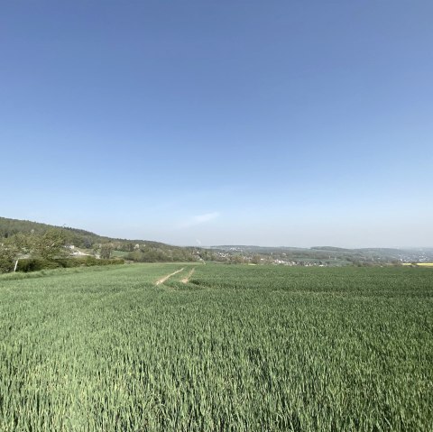 Bördelandschaft mit weitem Blick, © Rureifel-Tourimus e.V.