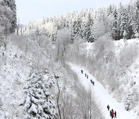 albrecht ski 675m, &copy; copyright@Thierry DeBruyne