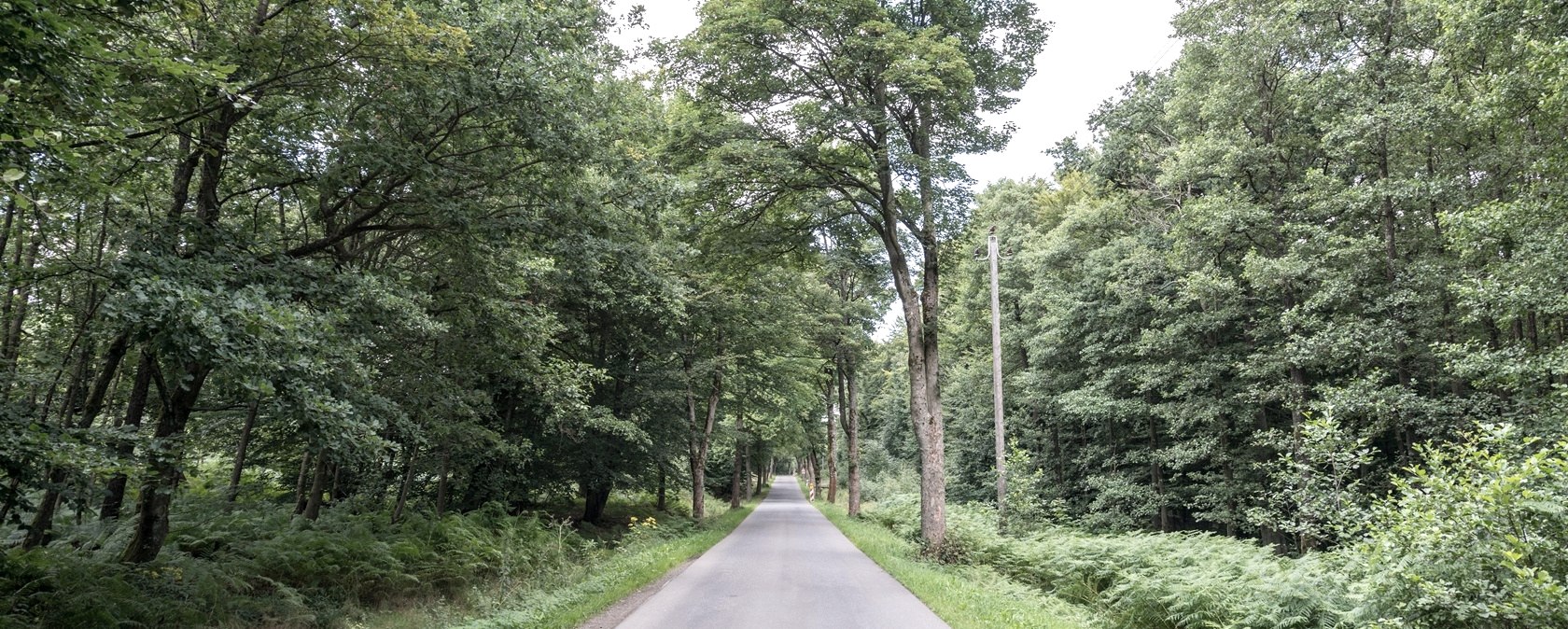 Quiet section, &copy; some.oner