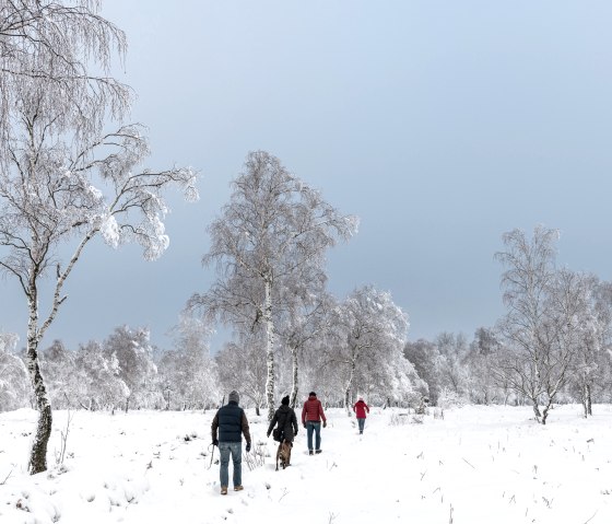 Winterwandern auf der Struffeltroute, &copy; Eifel Tourismus GmbH, D. Ketz