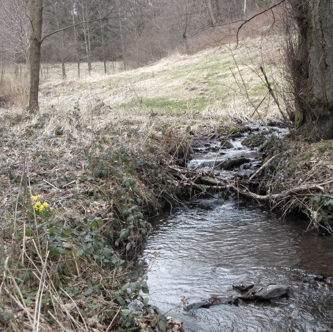 Weidenbachtal, &copy; Eifel heimisch