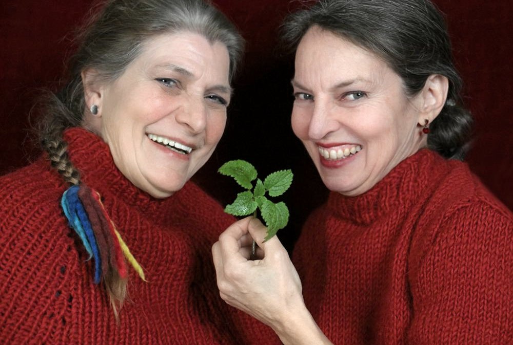 Kr&auml;uter Rendevous, &copy; Jojo Ludwig