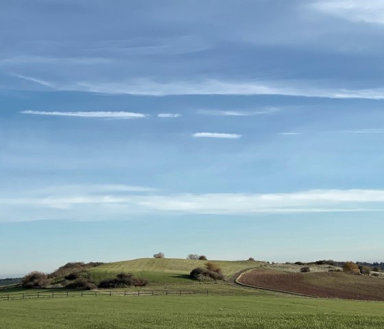 Bunker Bergheim