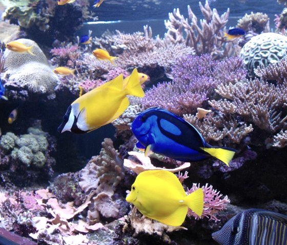 DSC_5269, &copy; Nordeifel Tourismus GmbH & Jugendg&auml;stehaus Nettersheim