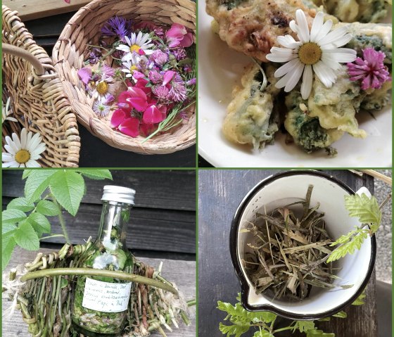 Wildkr&auml;uter intensiv, &copy; Wildnistraining.de