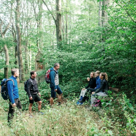 Wandergruppe im Wald, &copy; Paul Meixner