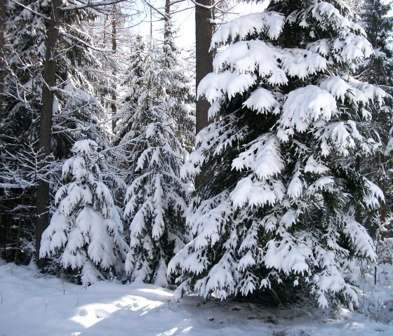 Winterbilder, &copy; Nordeifel Tourismus GmbH  & Haus am Hahnenberg