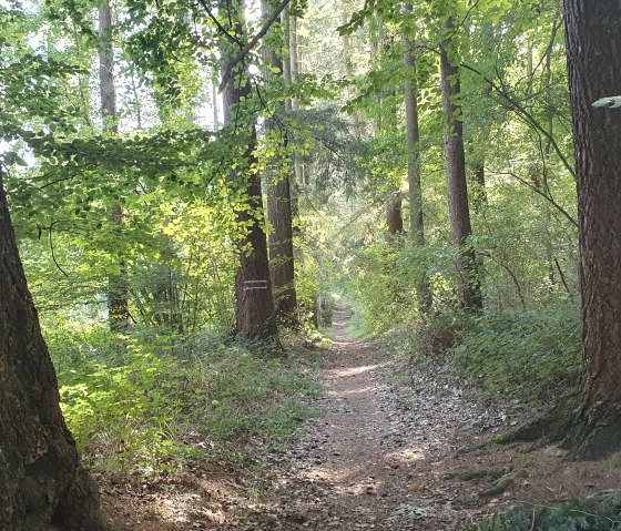 Eickser Busch, © Der Weggefährte - Michael Schulze Aktivtouren