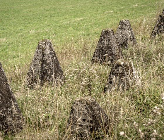 Eine Reihe von Panzersperren aus Beton steht auf einer grünen Wiese, umgeben von hohem Gras., © Eifel Tourismus GmbH, Dominik Ketz