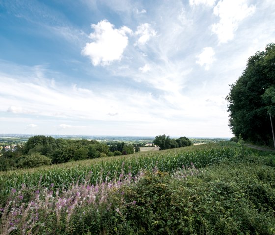 View of the Jülich Börde, © some.oner