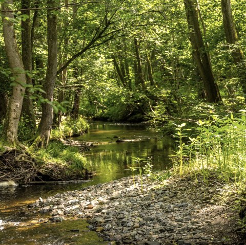 Vichtbachtal, &copy; St&auml;dteregion Aachen, Dominik Ketz
