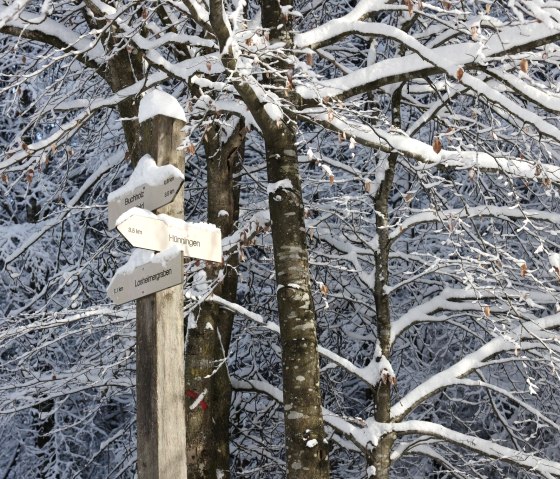 wandern, &copy; Fanienne Nicolas