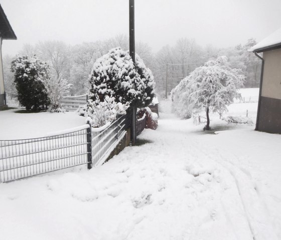 Winter Jan 2025