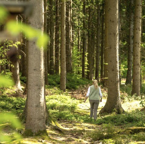 Hubertush&uuml;tte, &copy; Kupferstadt Stolberg, Dominik Ketz