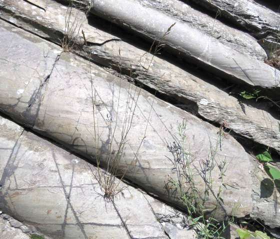 Mullion structure rock (4), &copy; Rursee-Touristik GmbH