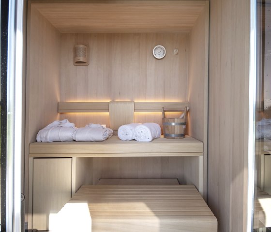 Sauna Cabin Style