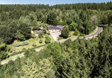 Sonnentau-DJI_20260813122406_0317_D-1500