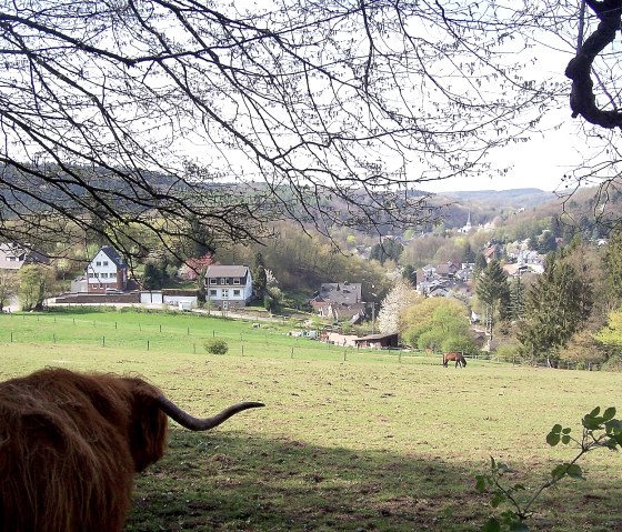 05-animal-schane-view, &copy; Dieter Gier