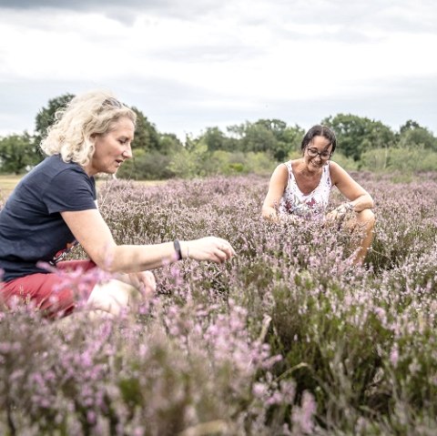 The Drover Heath, &copy; Kreis D&uuml;ren_Dennis Stratmann