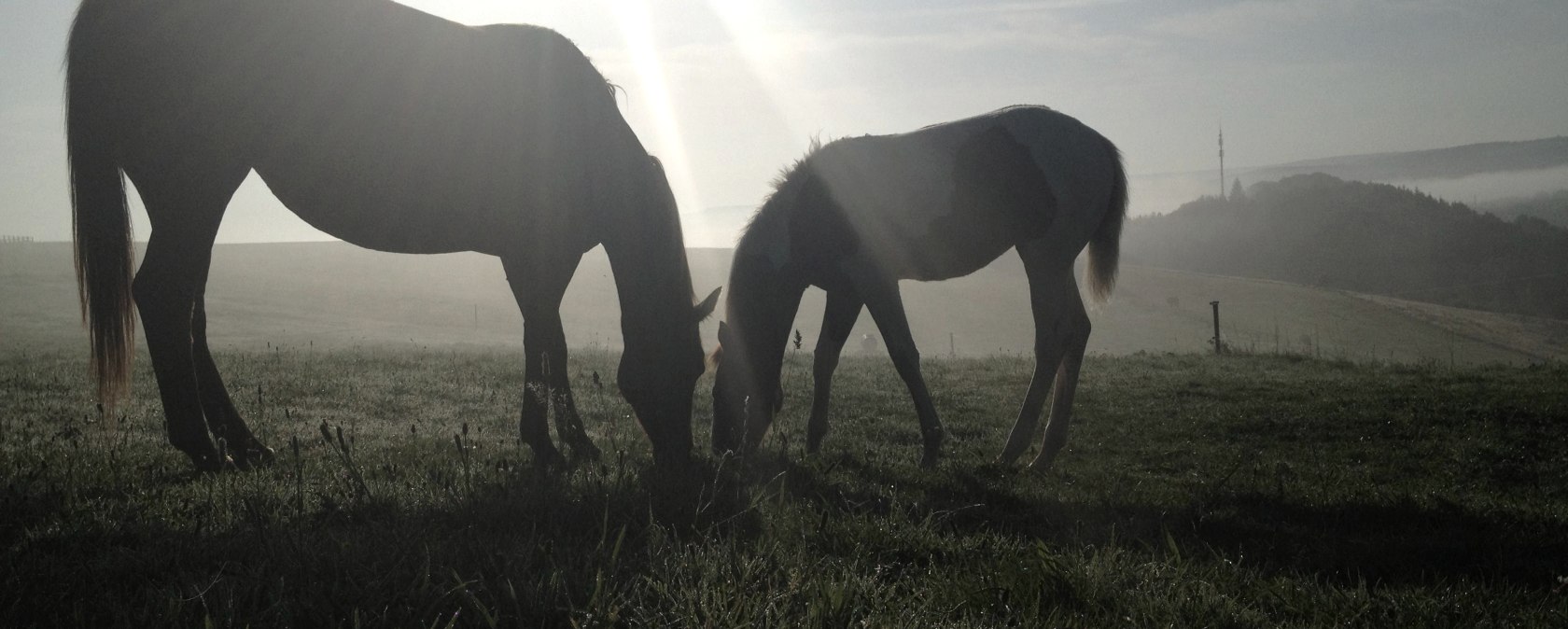 Besinnliche Zeit Hasenberghof, © Dr. Axe Stiftung