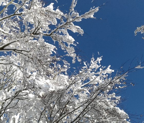 Winterhimmel blau-weiß (c) Theißen-Braun